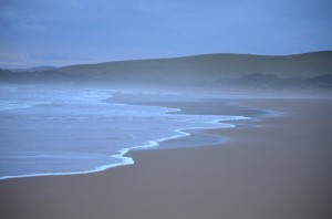 DSC_0588