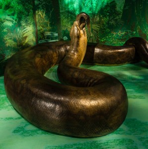 titanoboa-exhibit-nmnh