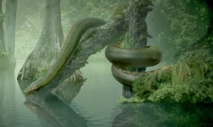 titanoboa1