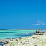 12291703_10207767860657084_2308585873429143775_o