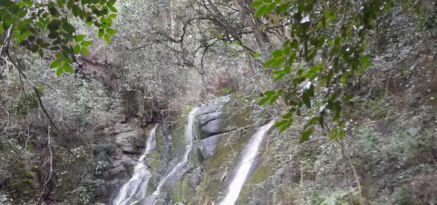 Skeleton Gorge Waterfall in Kirstenbosch after heavy rains on Table Mountain in March 2023.