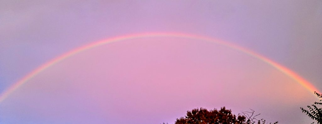 Rainbow seen at sunset from Newlands during the 4 March storm.